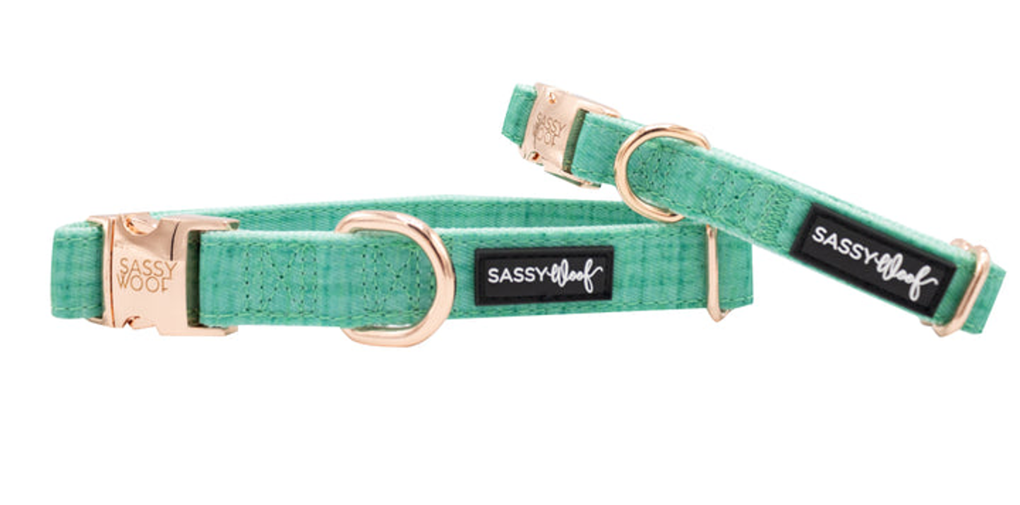 Sassy Woof Adjustable Dog Collar