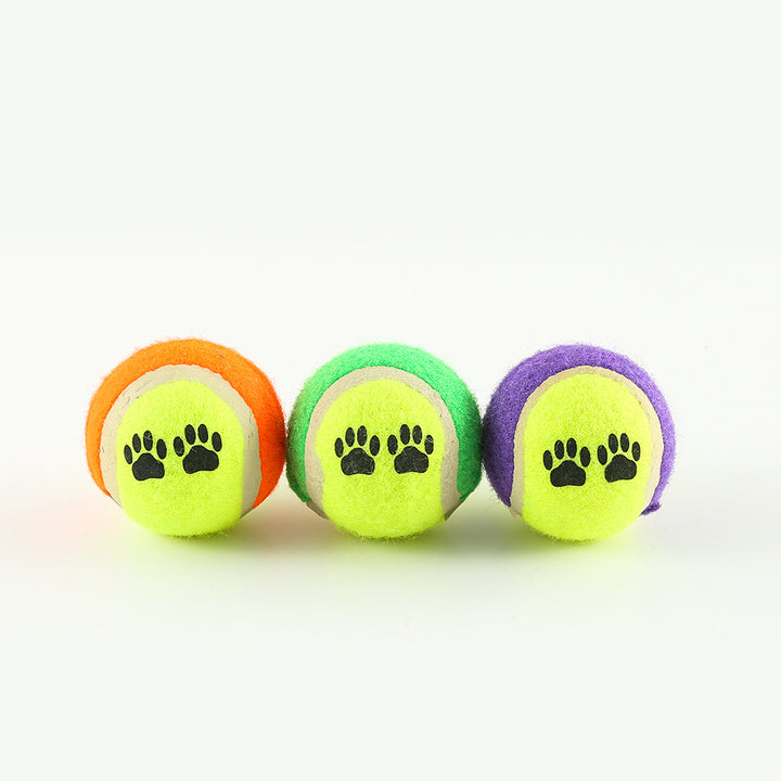 Dog carrying the fetch toy in its mouth