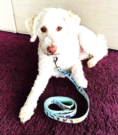 DRL Polyester Dog Leash