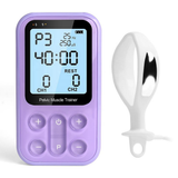 Home Pelvic Floor Muscle Recovery Fitness Device