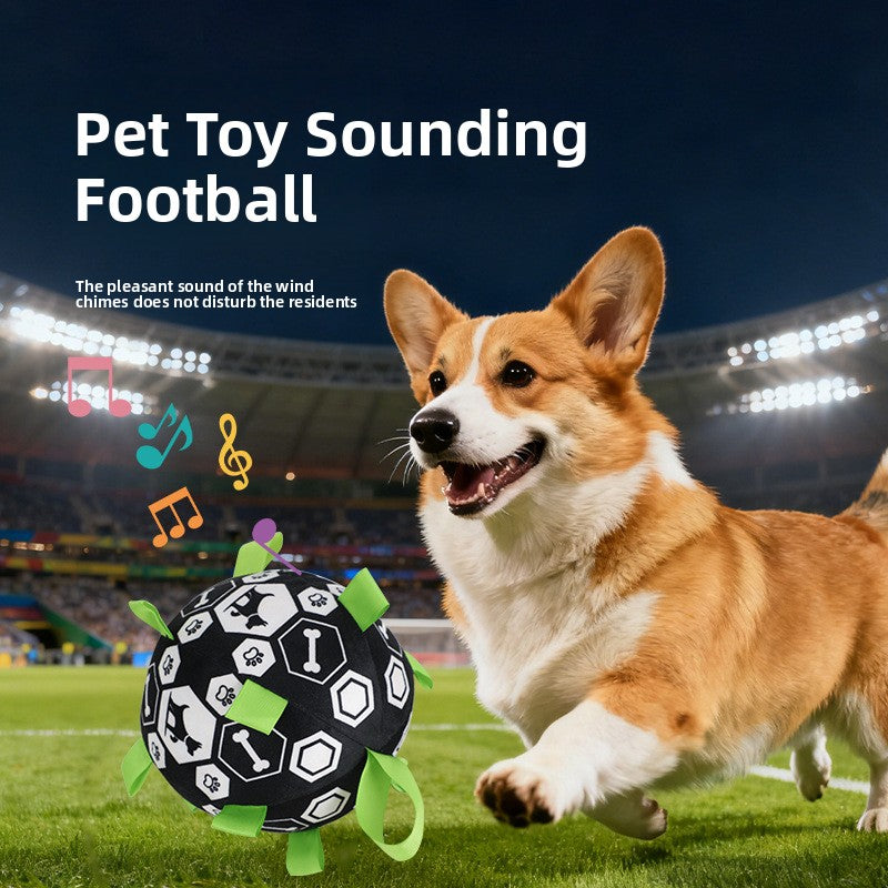 Interactive Durable Football
