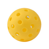 Outdoor pickleball set with 40 and 26 hole balls, full product view