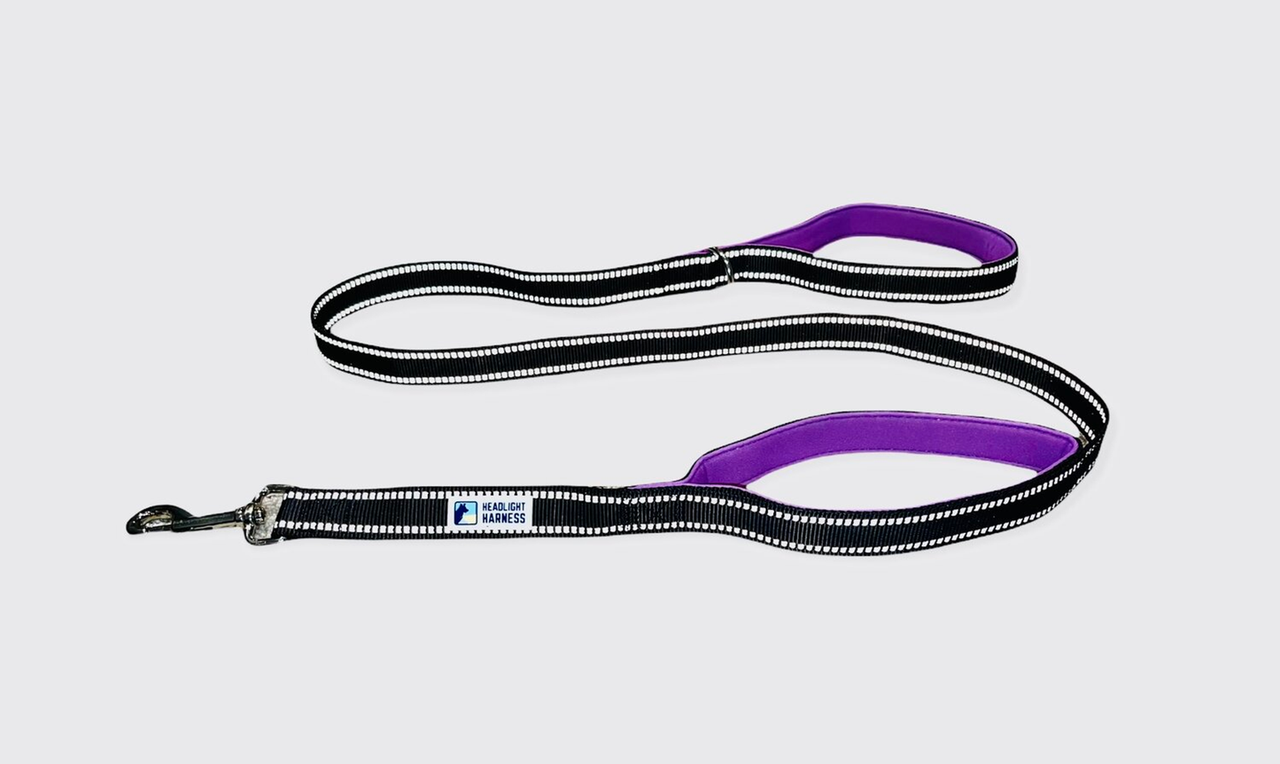 Headlight Harness Double-Handle Reflective Dog Leash, 6 ft - Purple