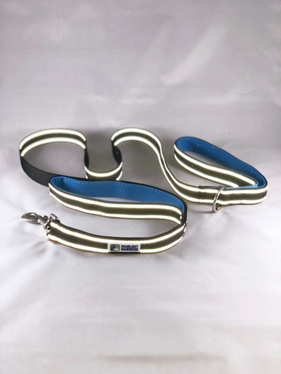 Headlight Harness Double-Handle Reflective Dog Leash, 6 ft - Blue