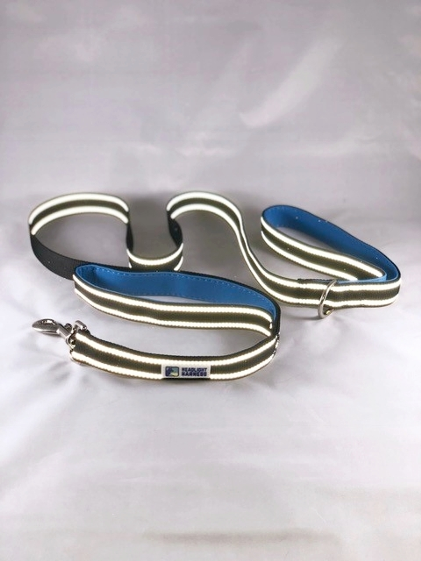 Headlight Harness Double-Handle Reflective Dog Leash, 6 ft - Blue