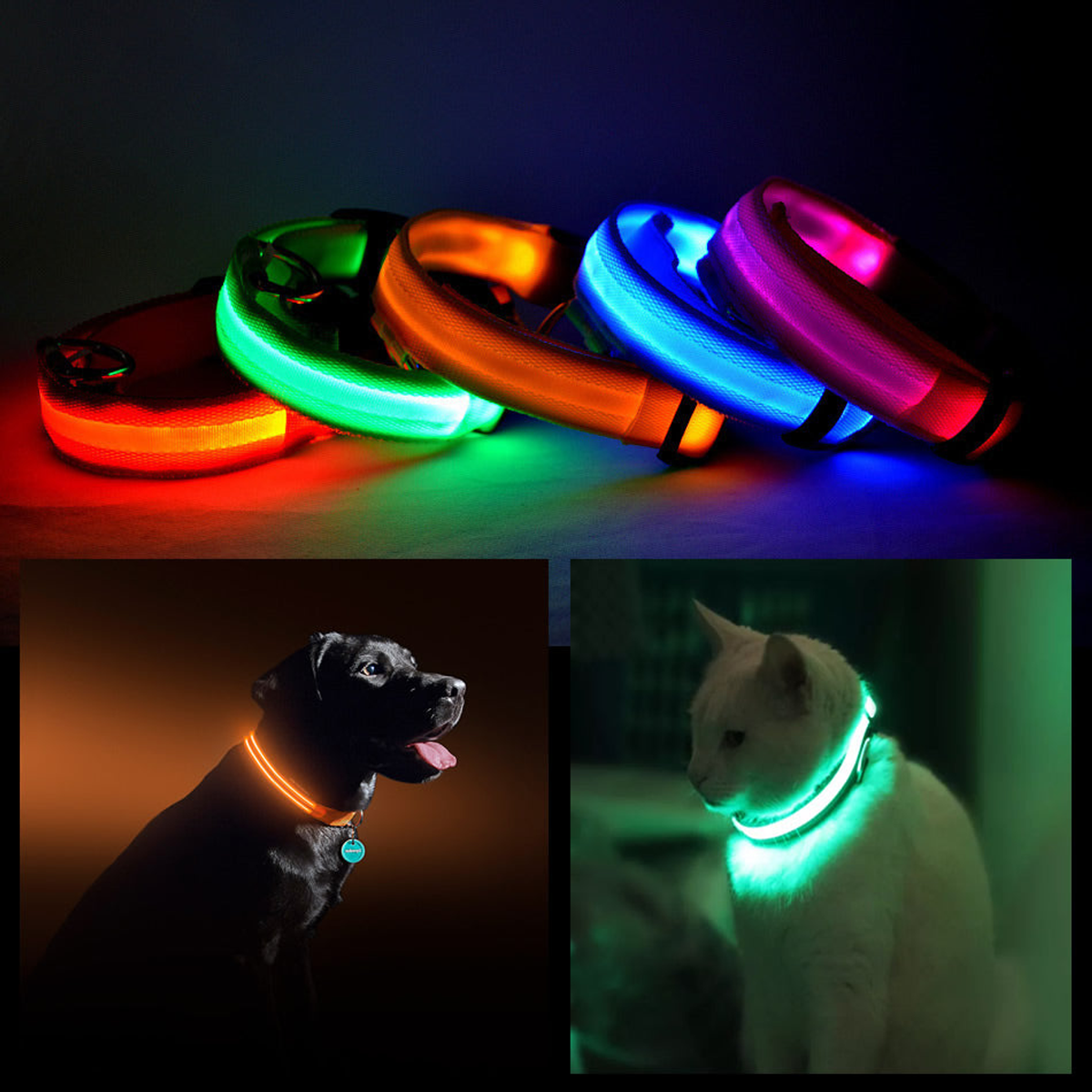 LED Pet Safety Collar Red Small