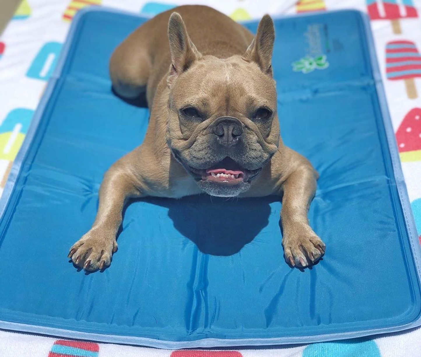 Cool Pet Pad XL