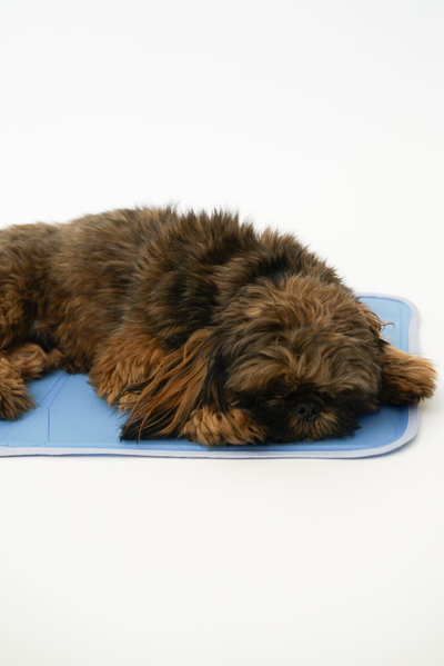 Cool Pet Pad Medium