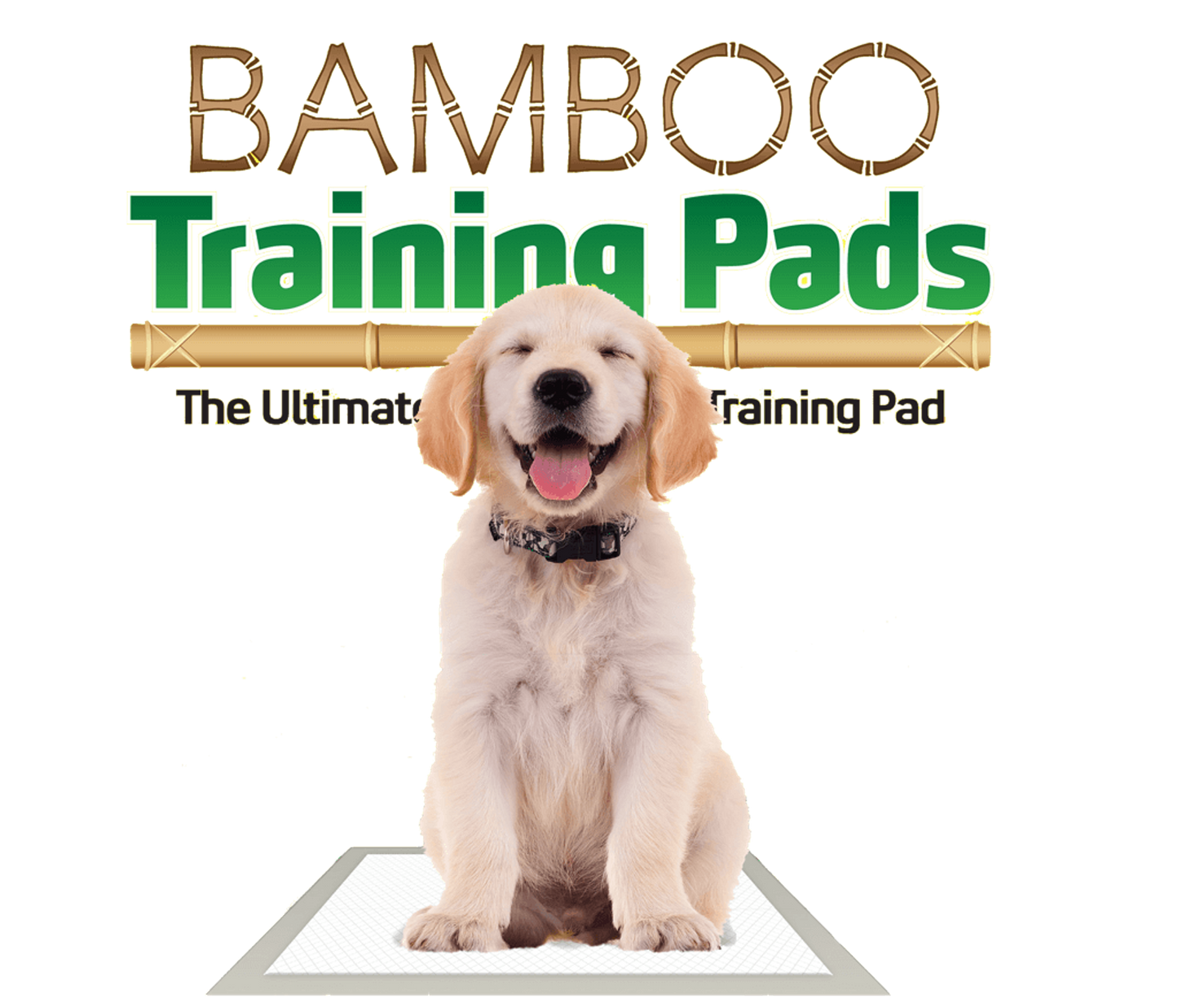 Bamboo Training Pads 50 count 5 SAP