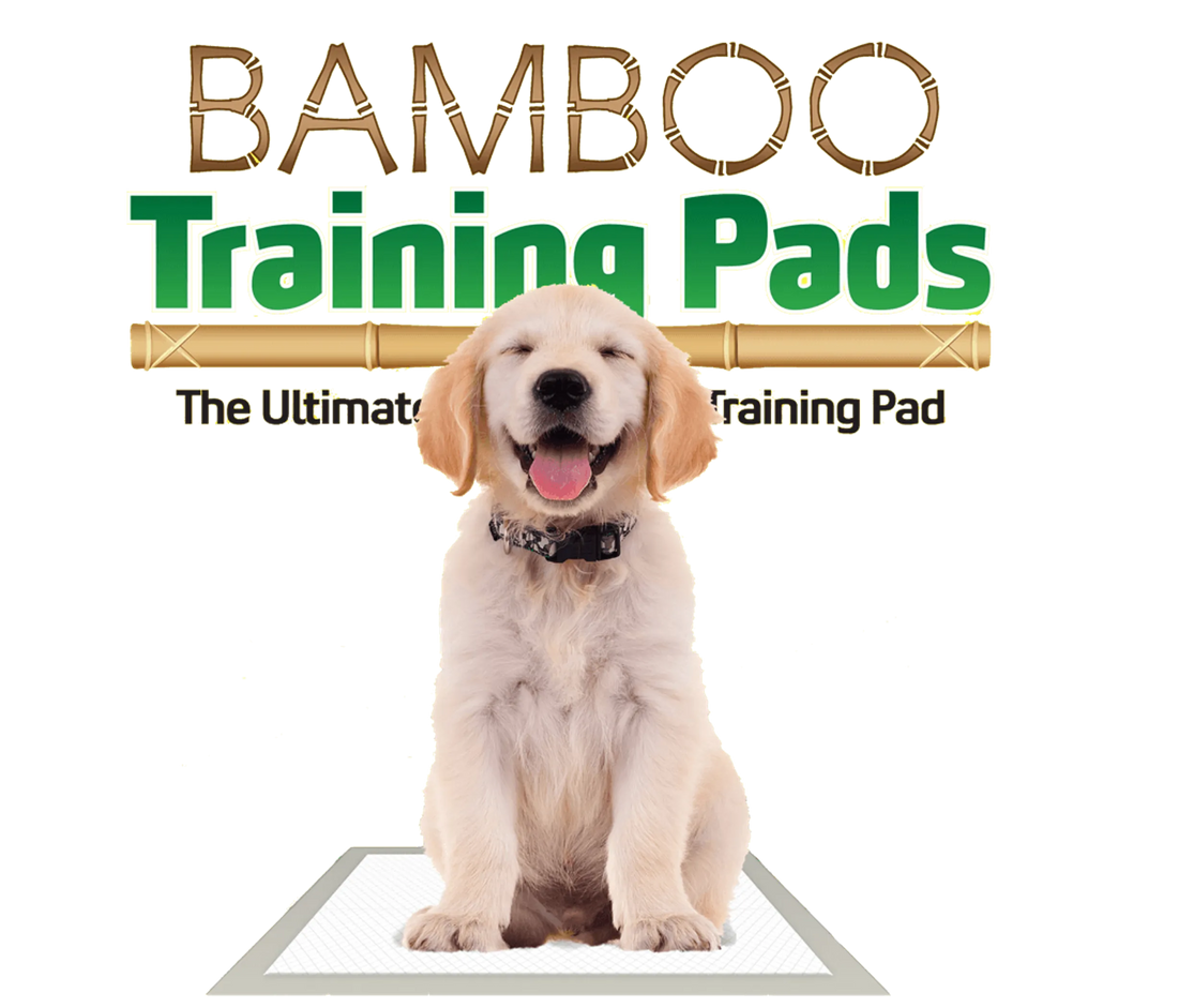 Bamboo Training Pads