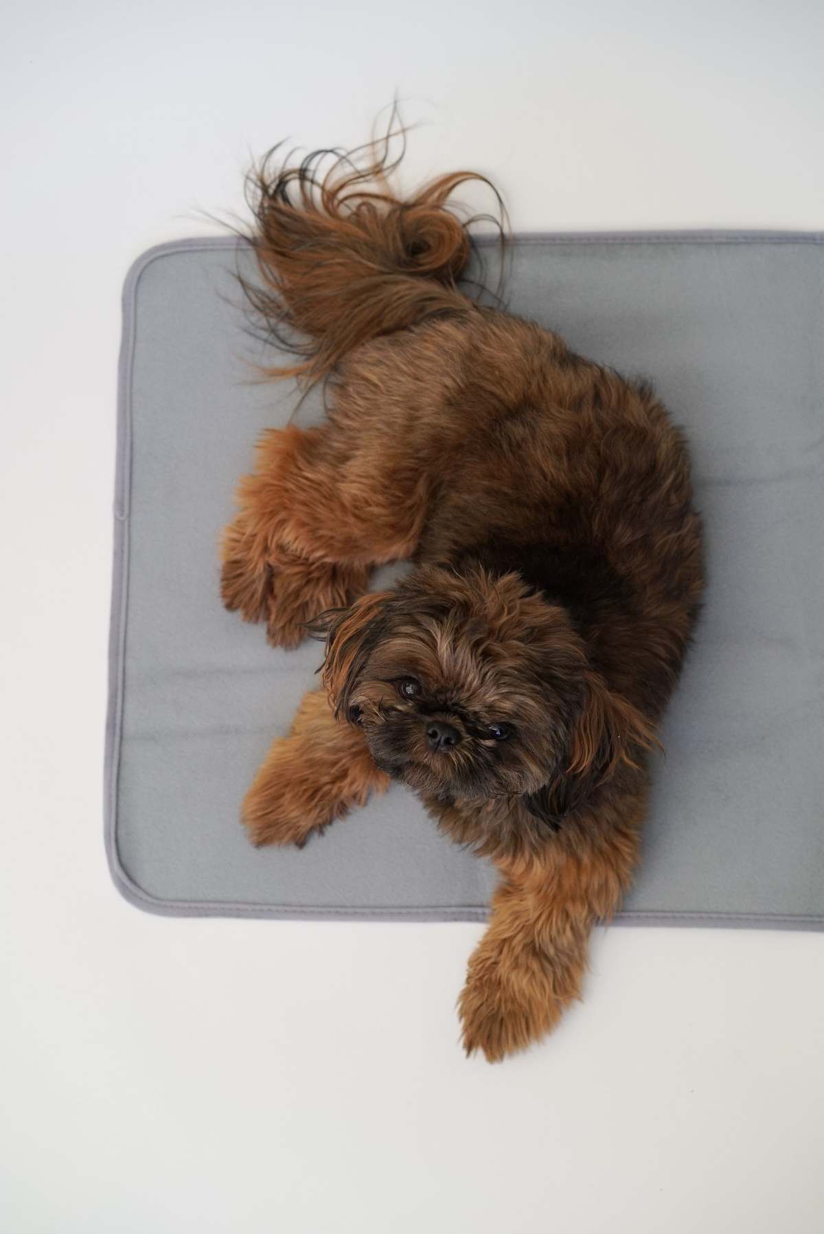 Thera-Pawz Warming Pad Small