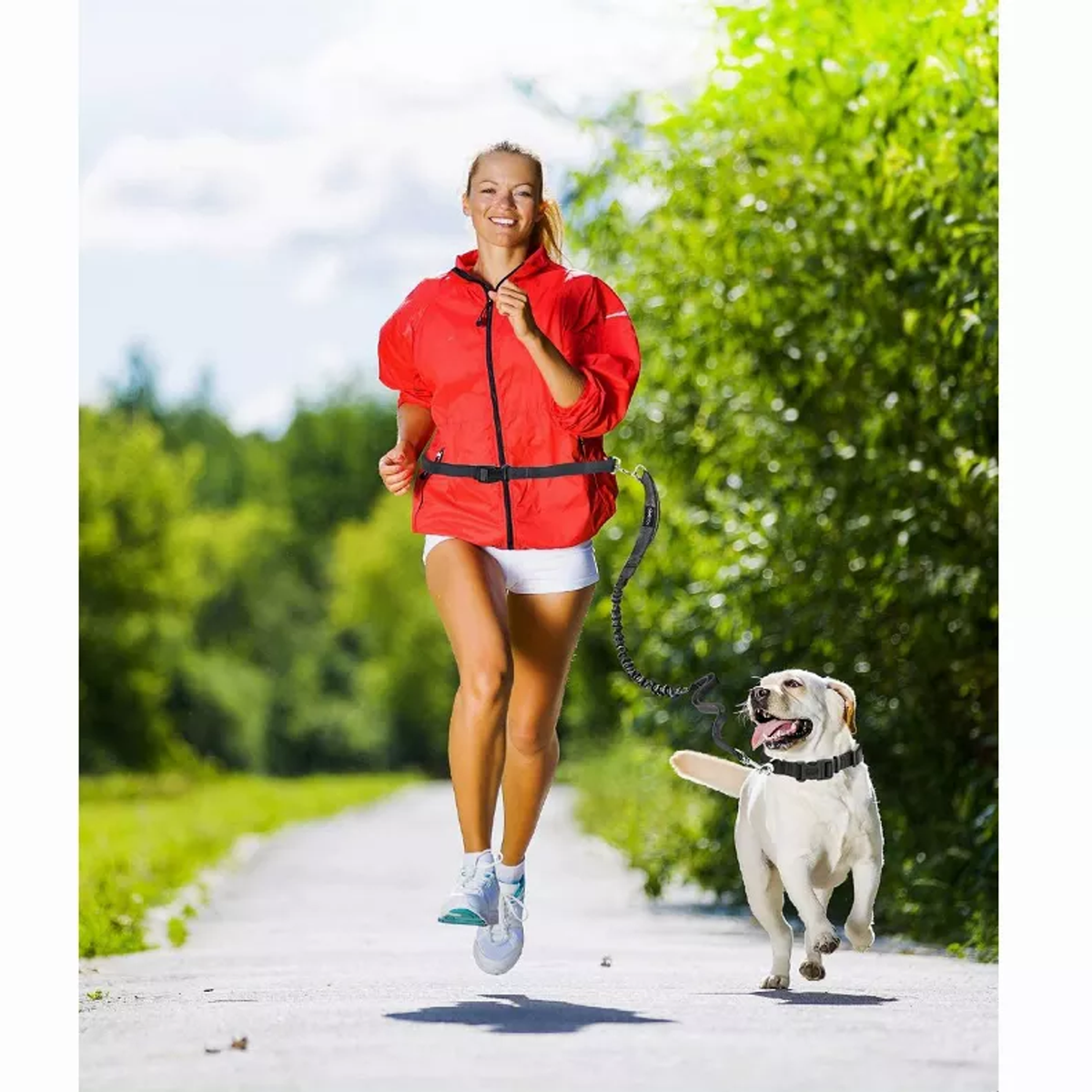 JESPET Hands Free Dog Leash for Running