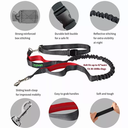 JESPET Hands Free Dog Leash for Running