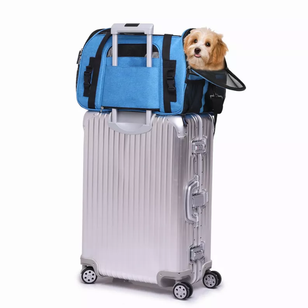 JESPET Soft-Sided Kennel Pet Carrier