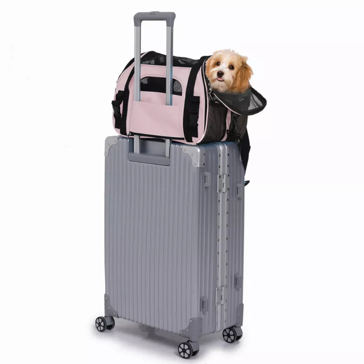 JESPET Soft-Sided Kennel Pet Carrier