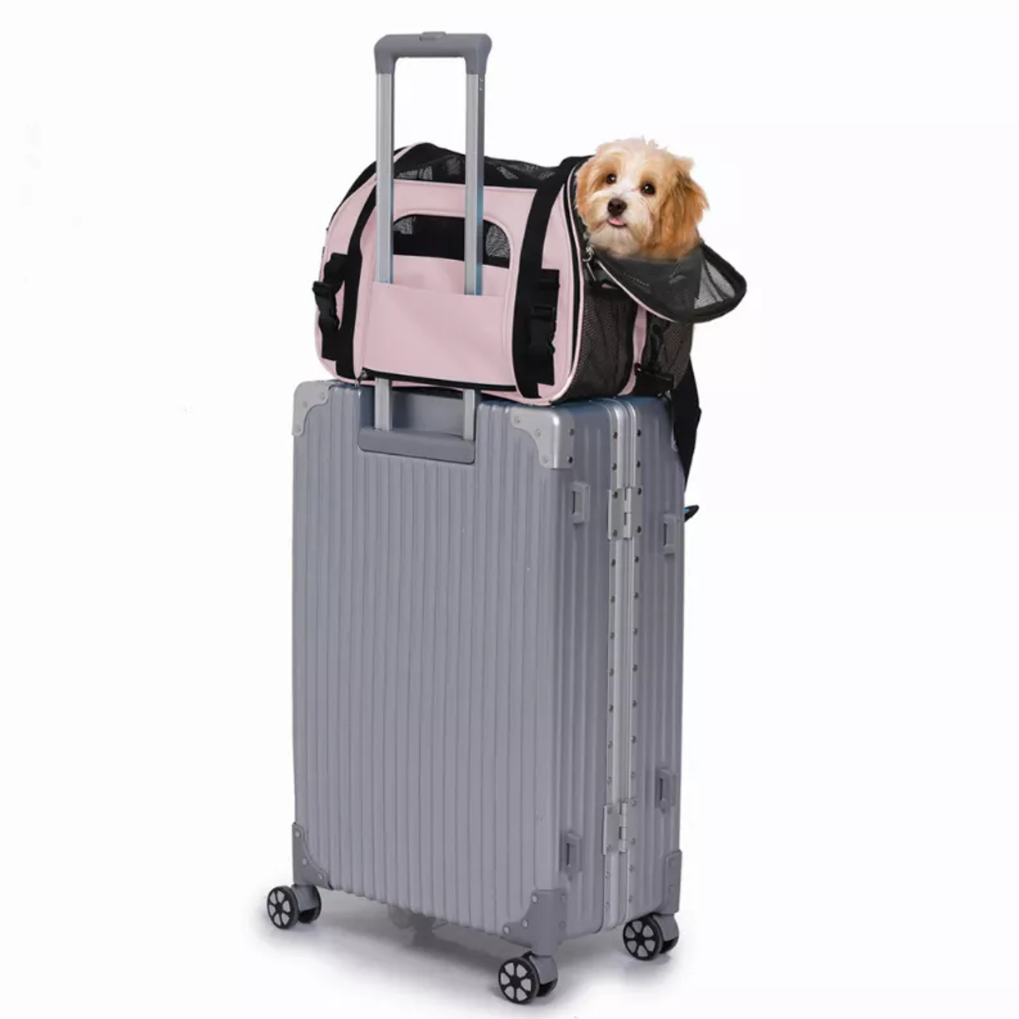JESPET Soft-Sided Kennel Pet Carrier