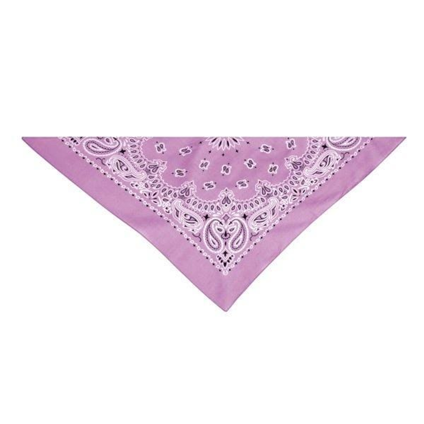 Top Performance Paisley Pet Bandana