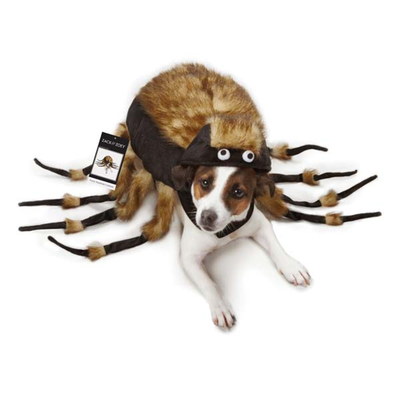 Zack & Zoey Fuzzy Tarantula Dog Costume