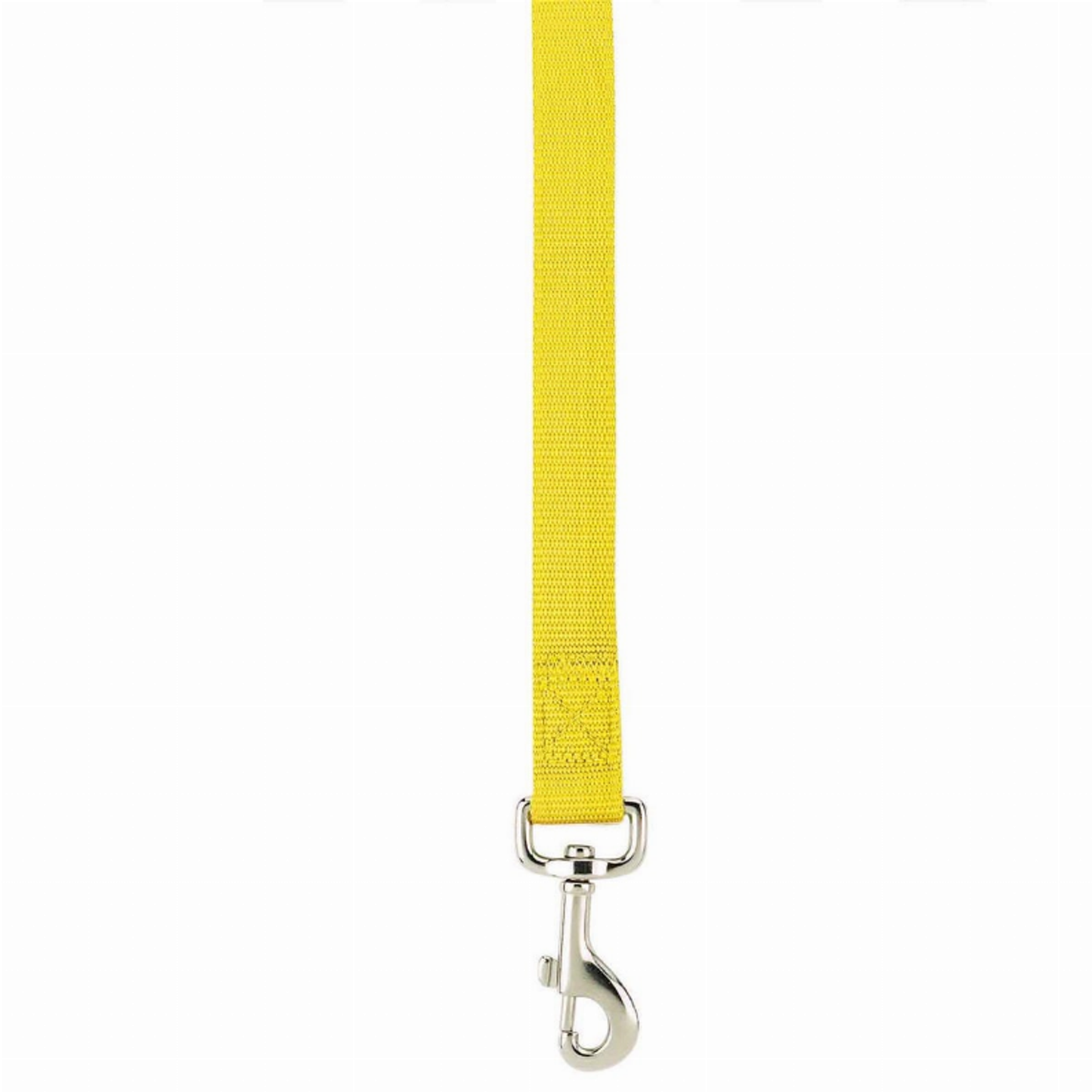 Casual Canine Nylon Dog Lead