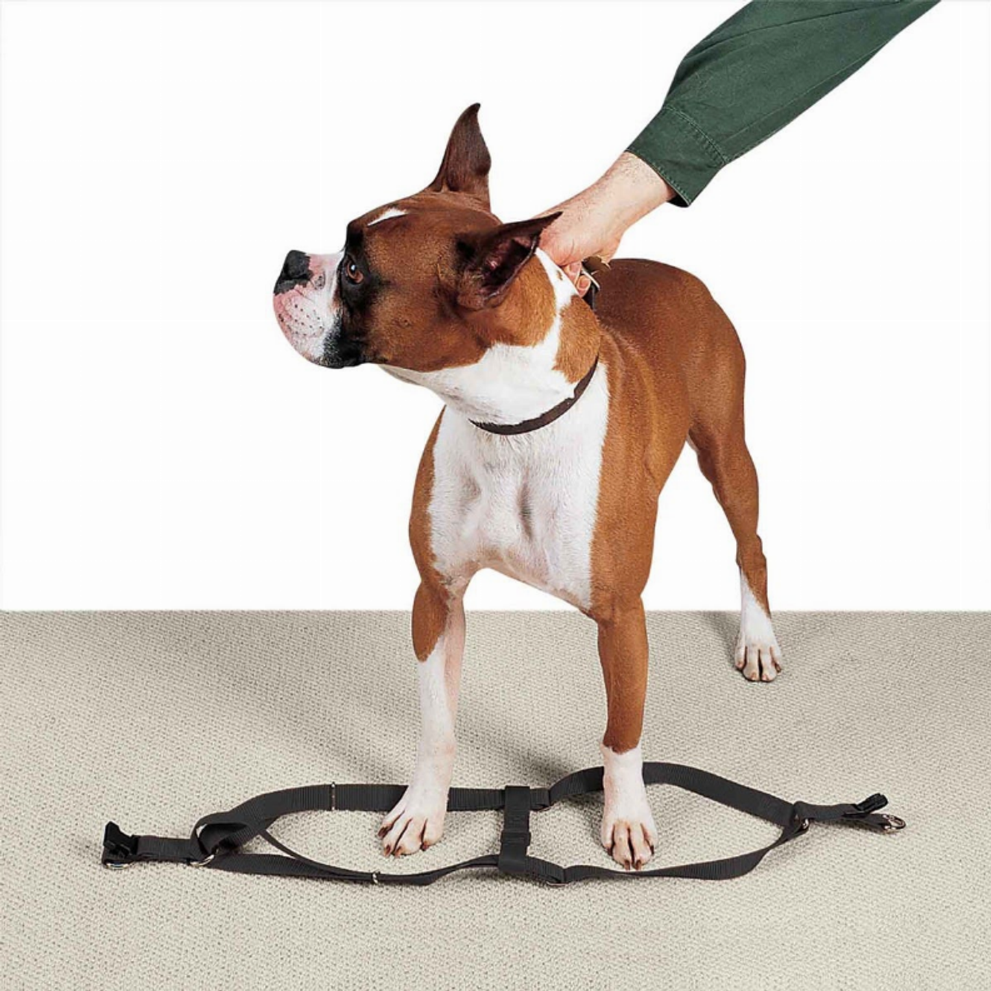 Casual Canine Nylon 2-Step Dog Harness