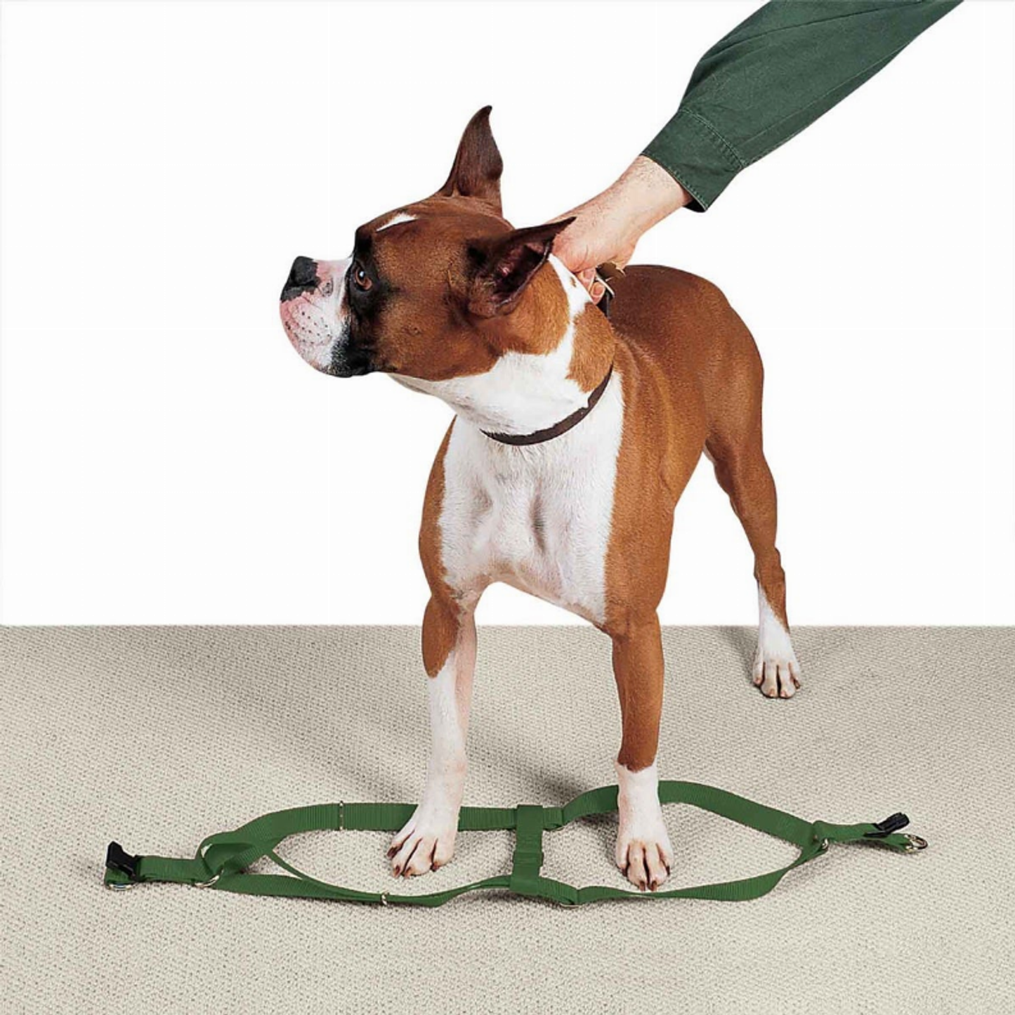 Casual Canine Nylon 2-Step Dog Harness