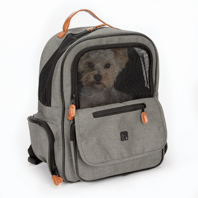 Cruising Companion On The Go Pet Backpack Carrier