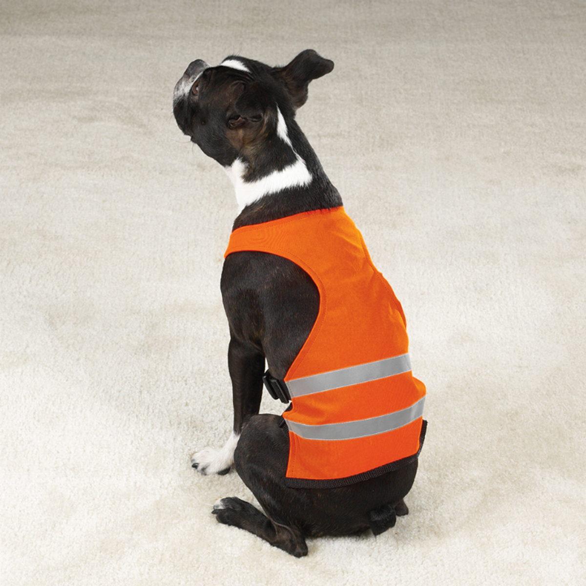 Guardian Gear Reflective Safety Vest for Dogs