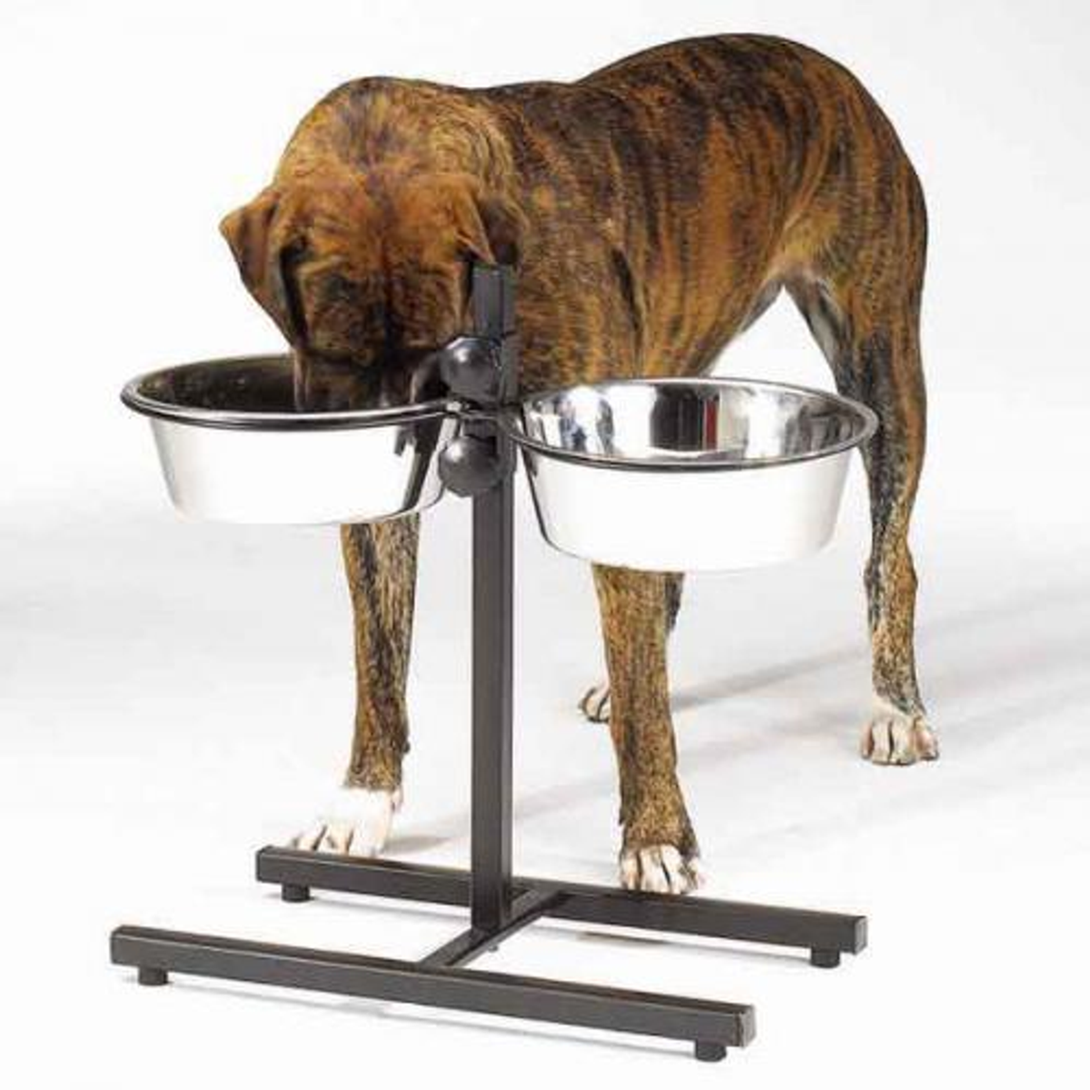 ProSelect Adjustable Diner with Bowls 160 oz