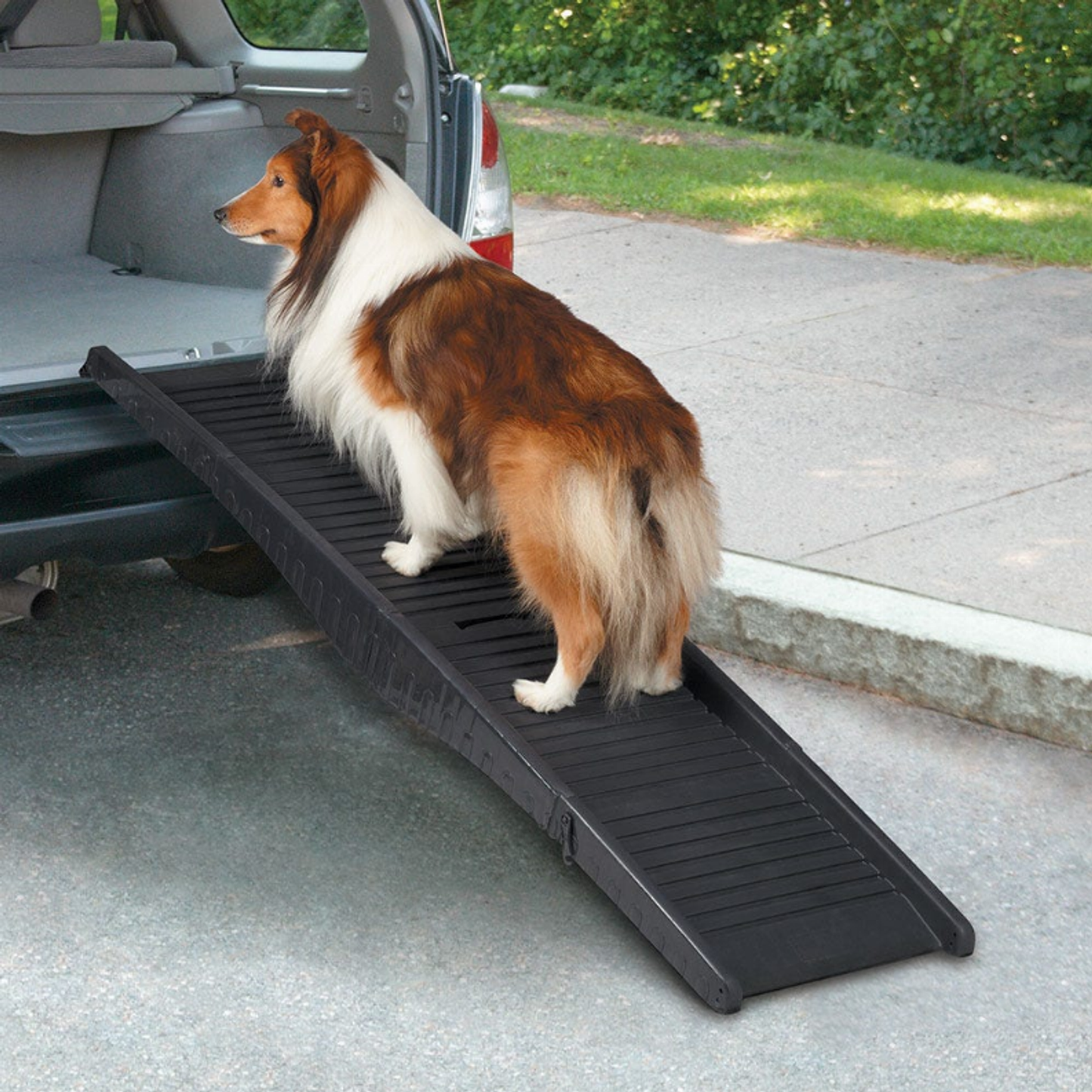 Cruising Companion Tri-Fold Vehicle Pet Ramp (Black)