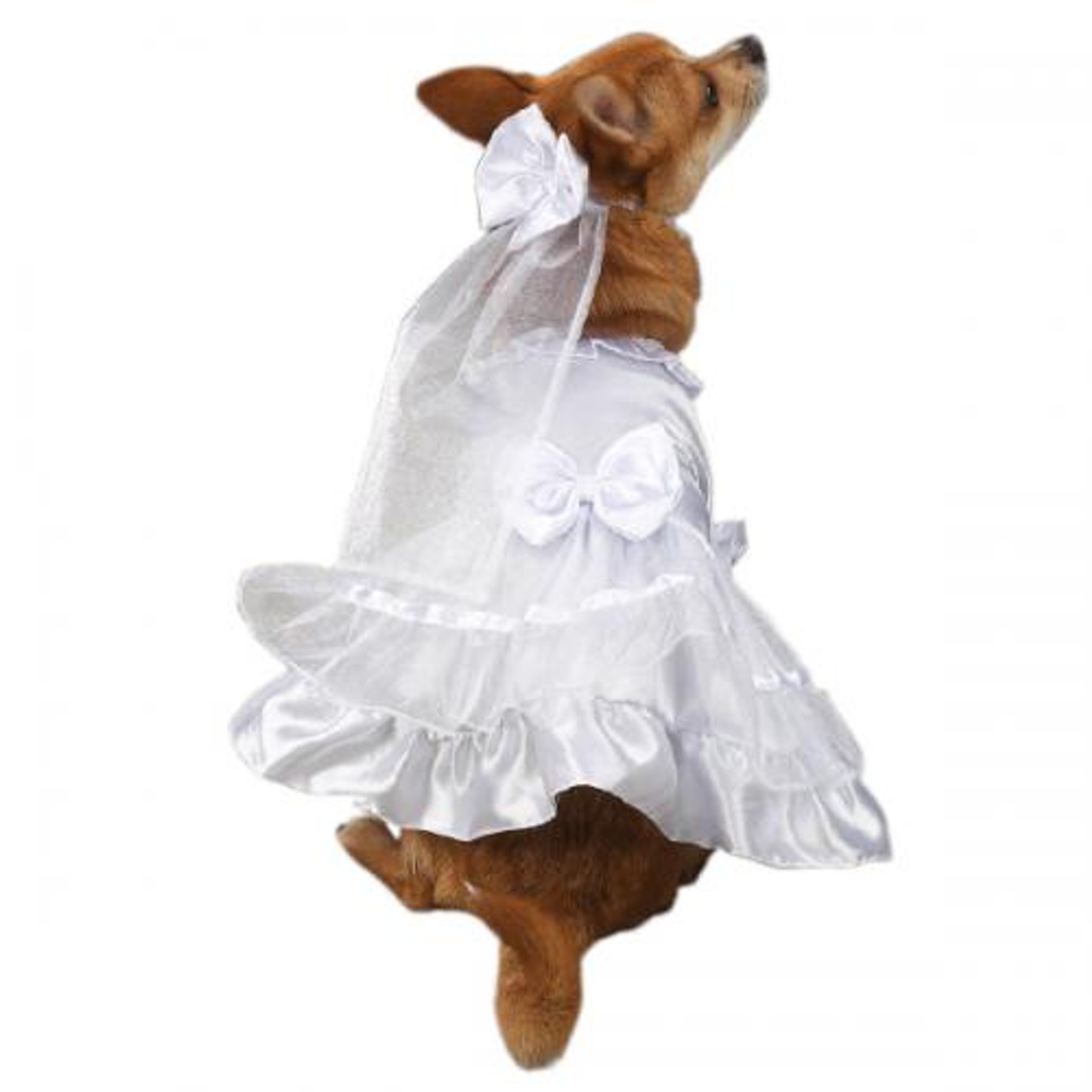 East Side Collection Yappily Ever After Dog Wedding Dress