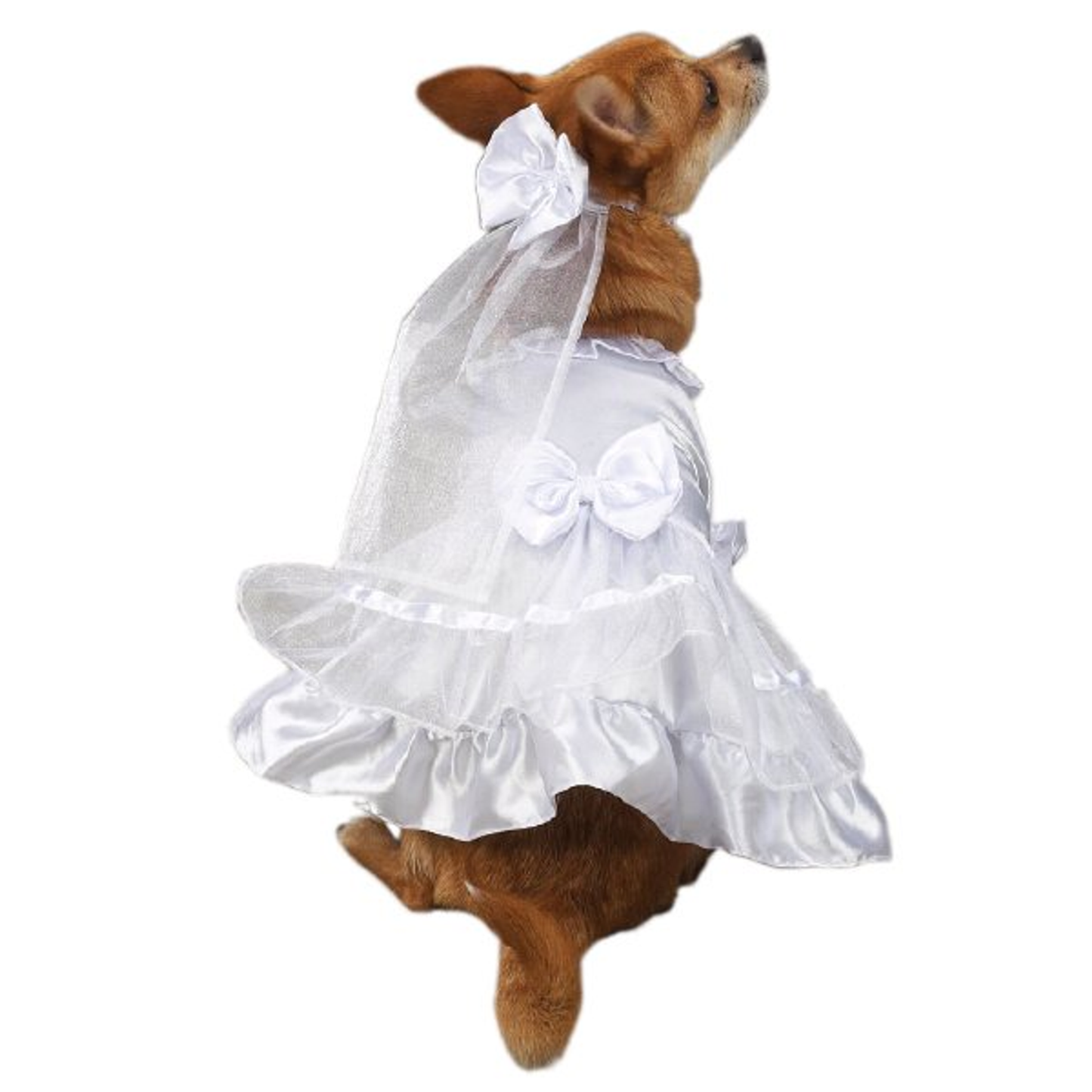 East Side Collection Yappily Ever After Dog Wedding Dress