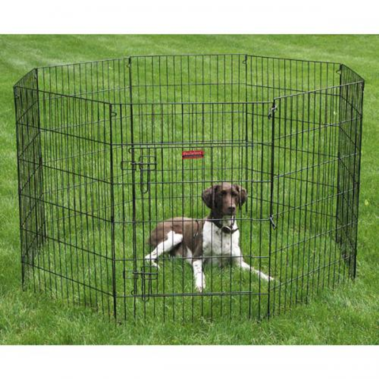 ProSelect Everlast Exercise Pen with Door