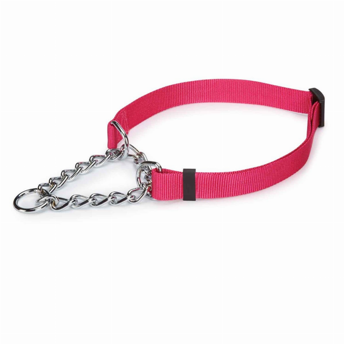 Guardian Gear Martingale Dog Collar