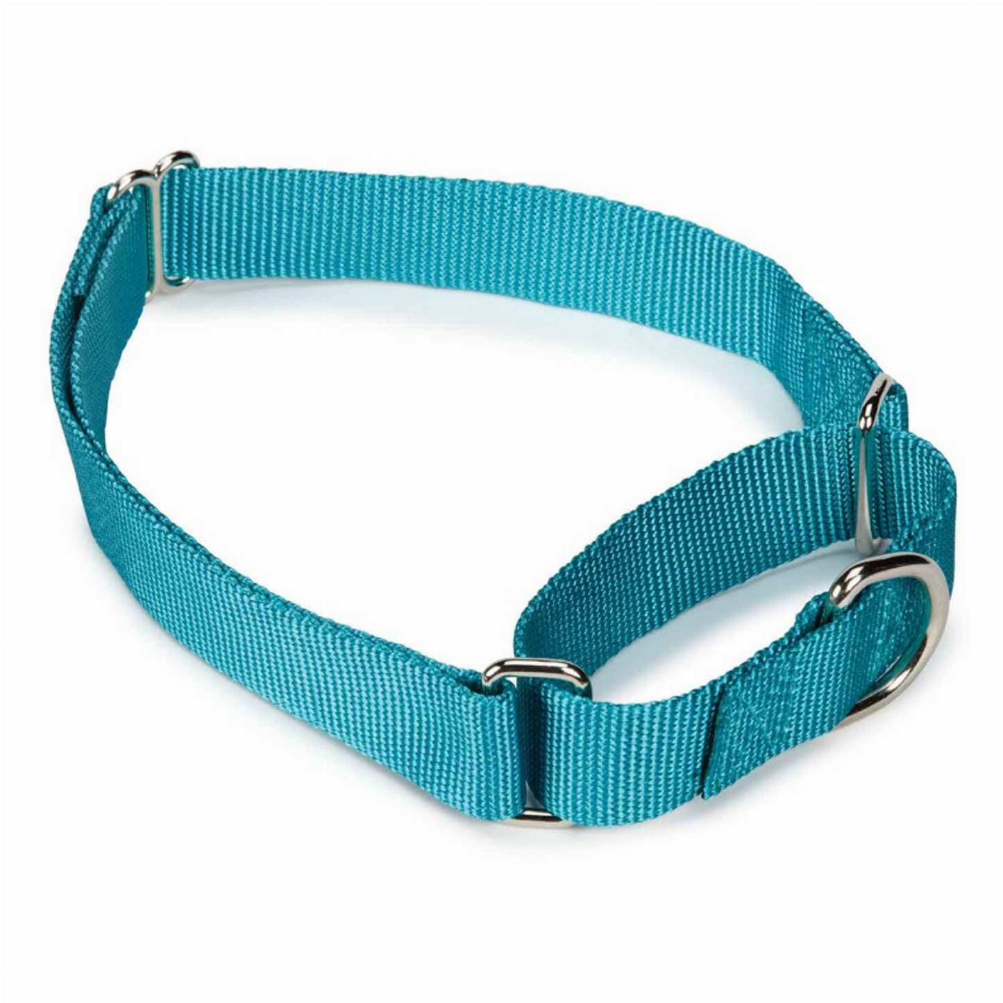 Guardian Gear Nylon Martingale Dog Collar