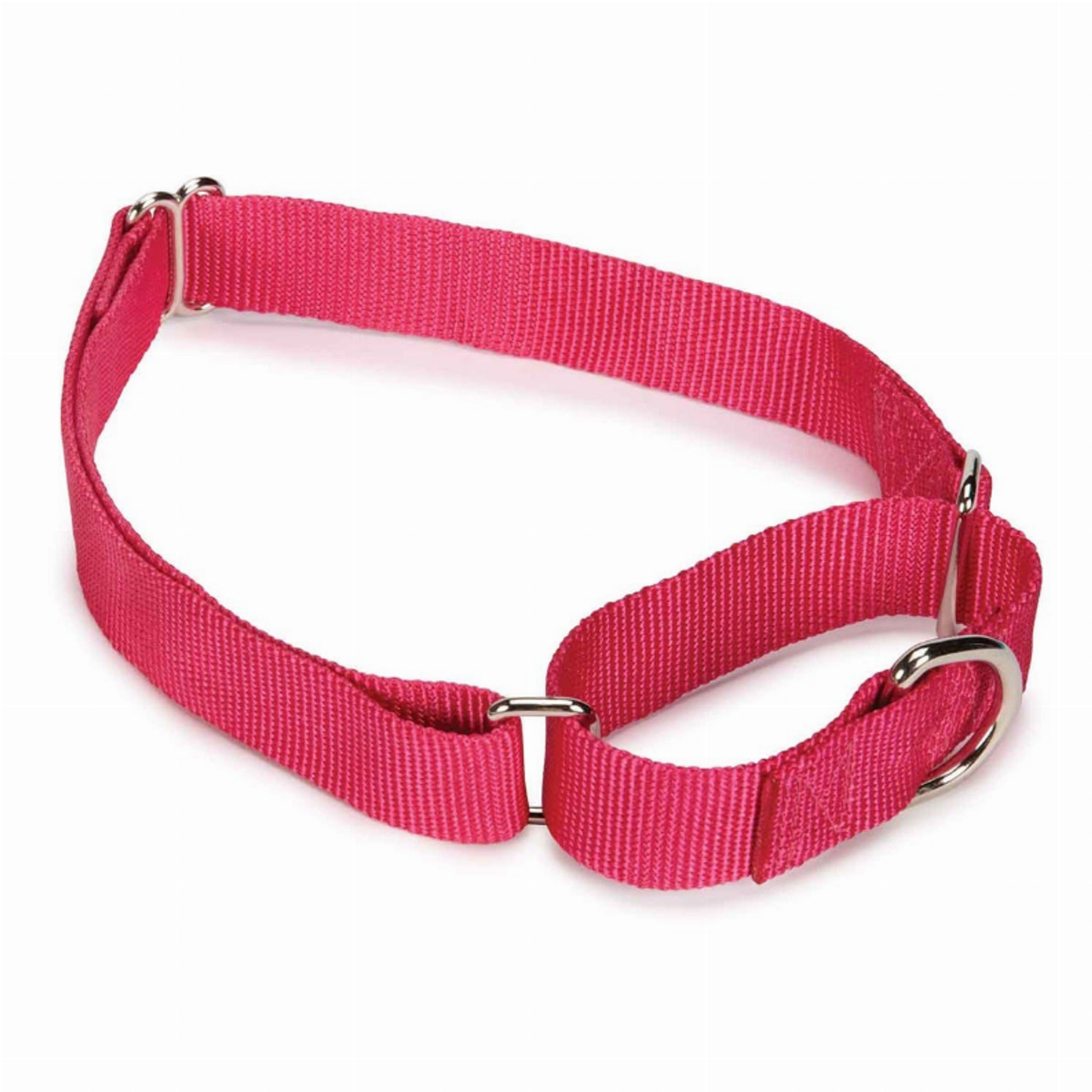 Guardian Gear Nylon Martingale Dog Collar