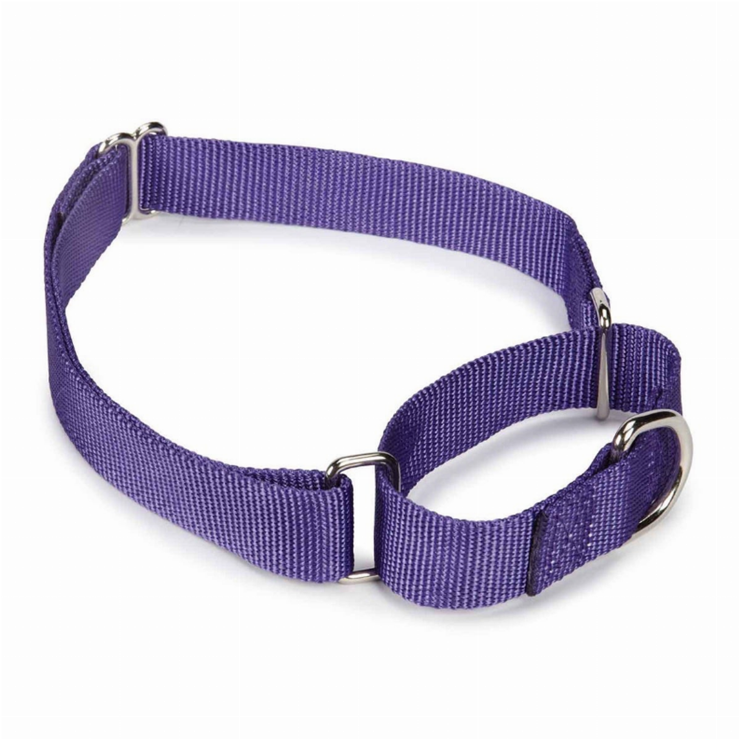 Guardian Gear Nylon Martingale Dog Collar