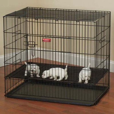 ProSelect Puppy Playpen with Plastic Pan