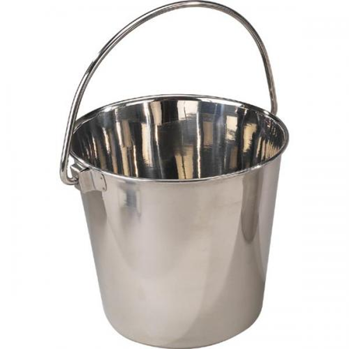 ProSelect Heavy Duty Stainless Steel Pail