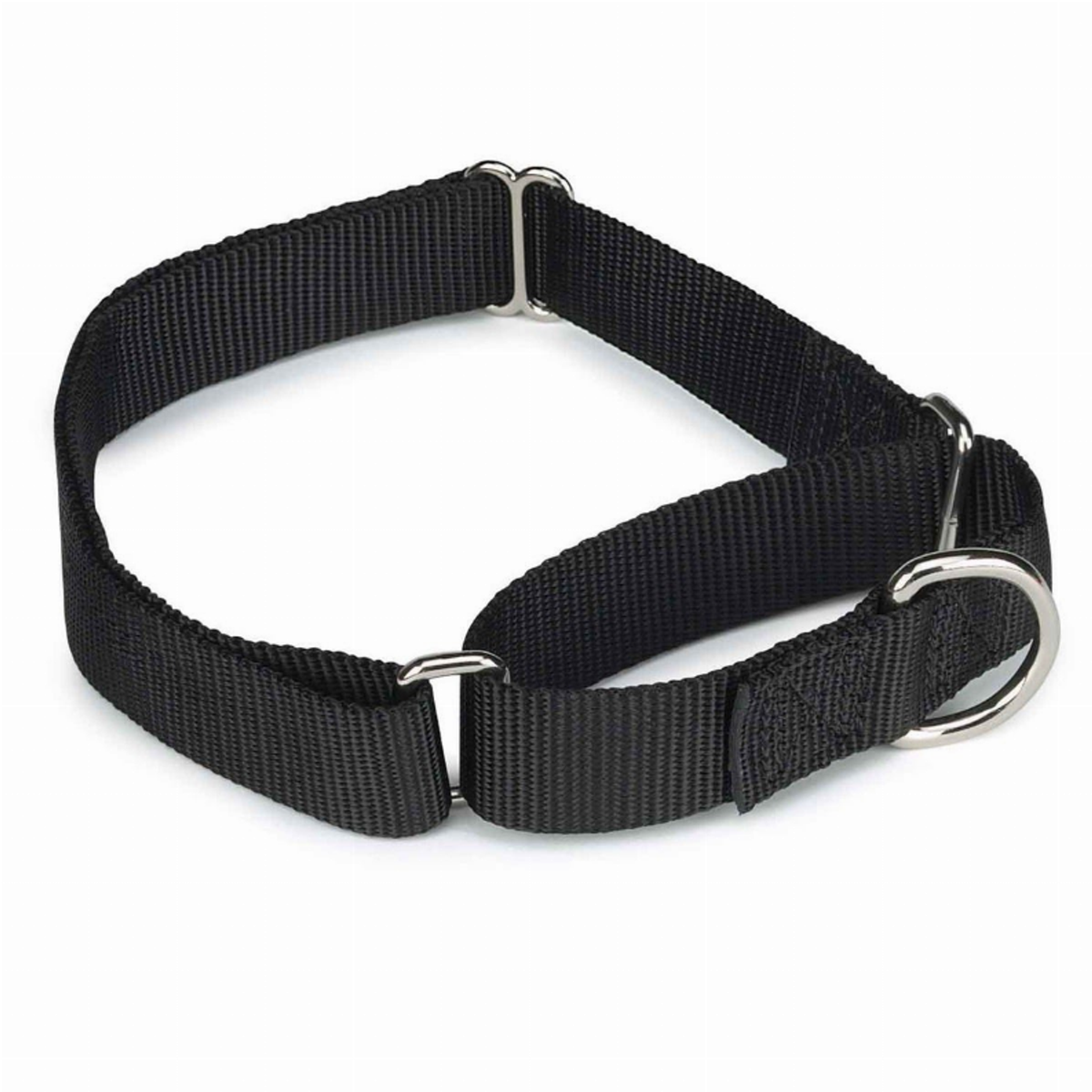 Guardian Gear Nylon Martingale Dog Collar
