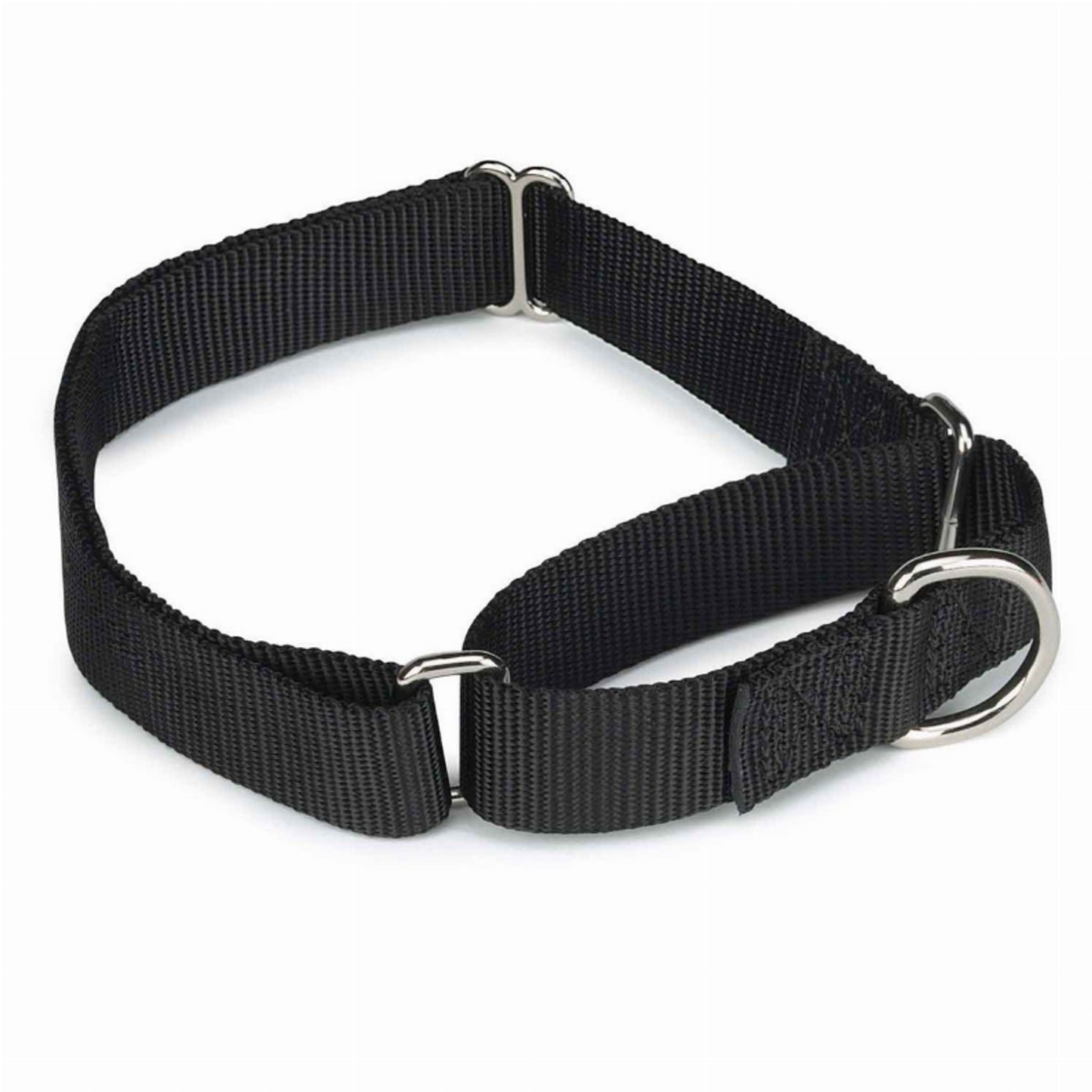 Guardian Gear Nylon Martingale Dog Collar
