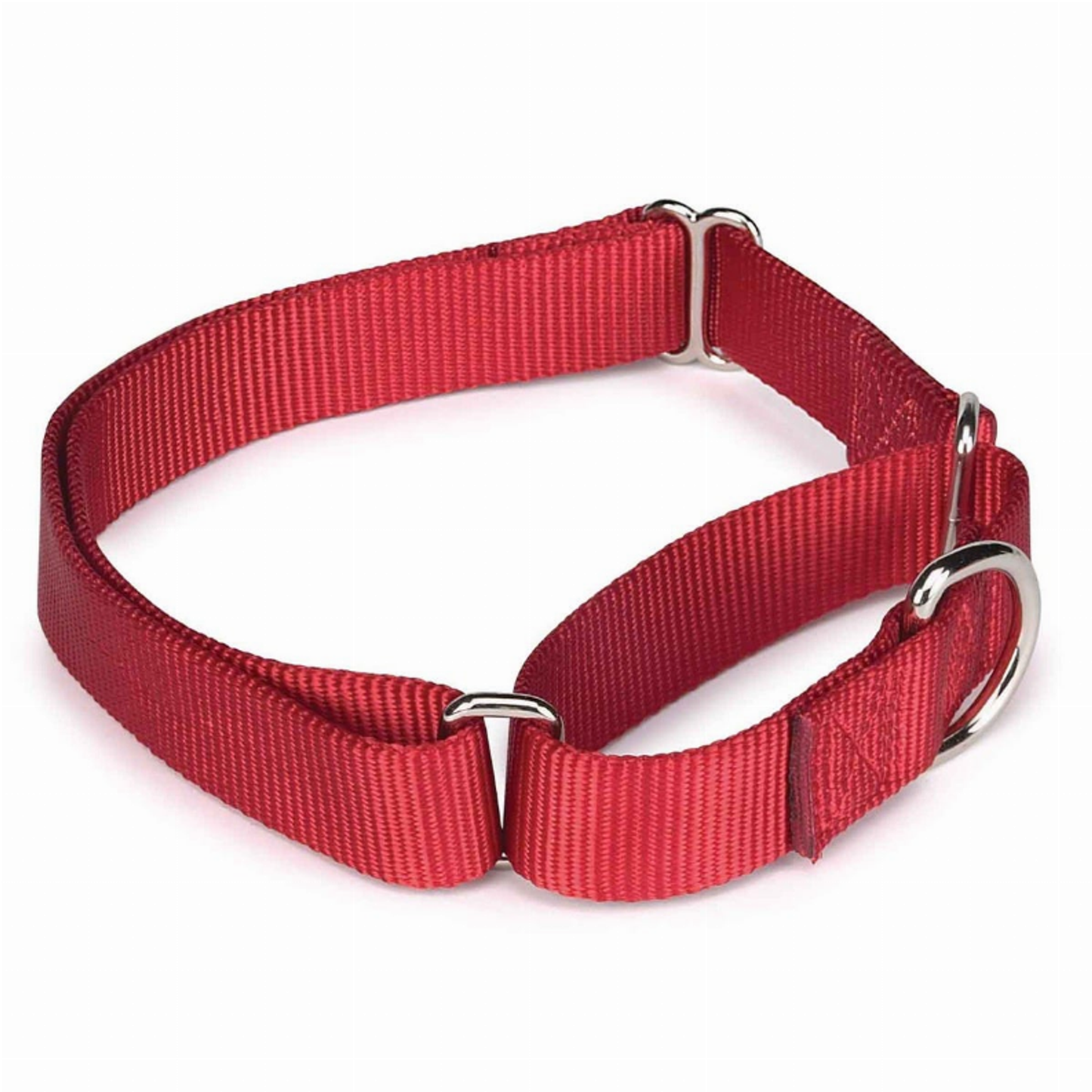Guardian Gear Nylon Martingale Dog Collar
