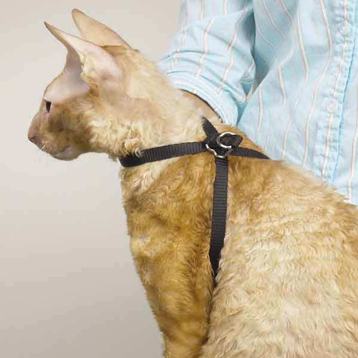 Top Performance Adjustable Nylon Cat Grooming Harness 40 in