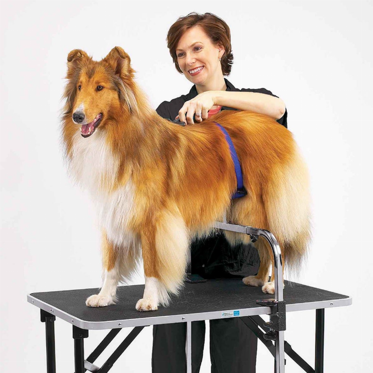 Master Equipment Adjustable Grooming Support