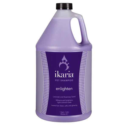 Ikaria Comfort Pet Shampoo (1 Gallon)