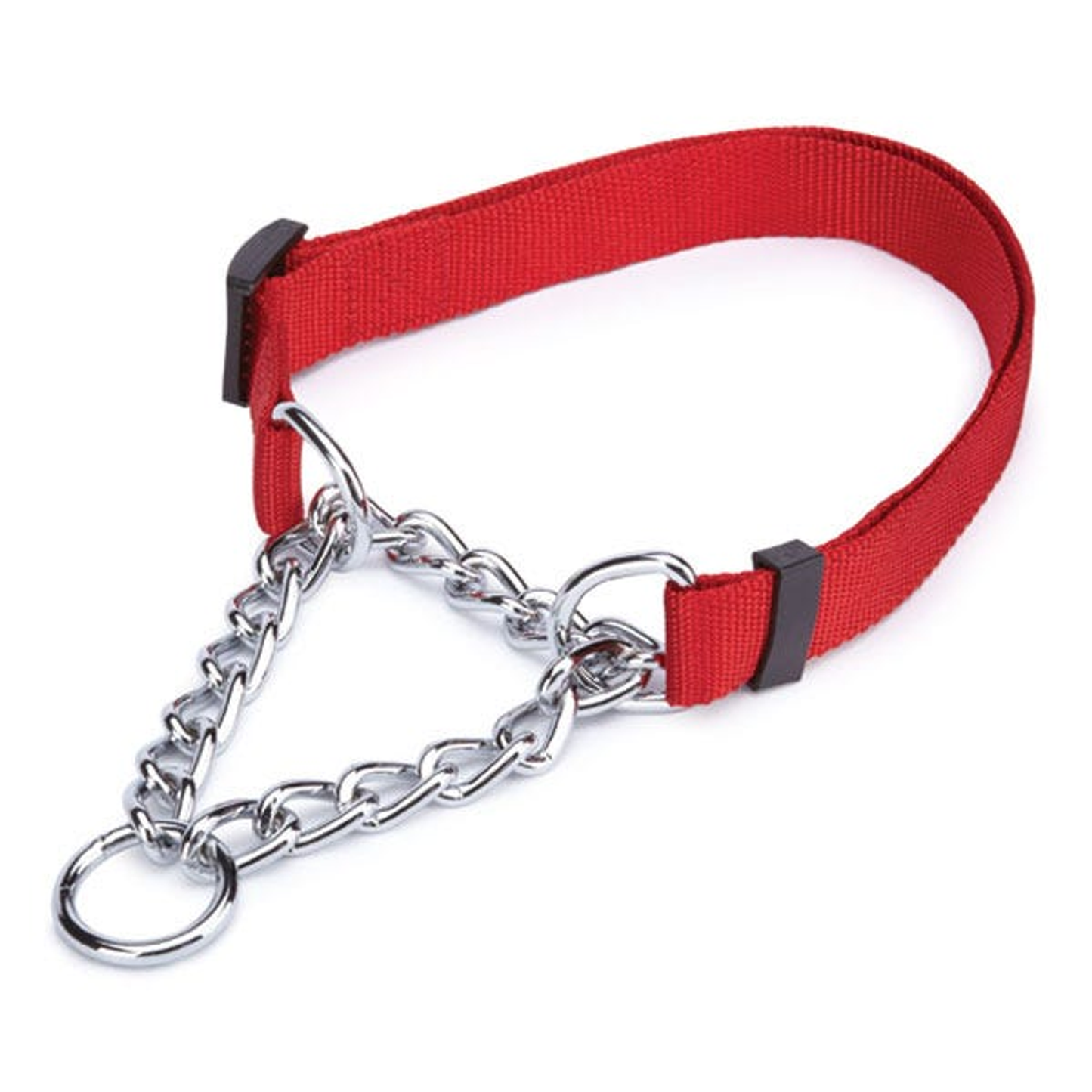 Guardian Gear Martingale Dog Collar