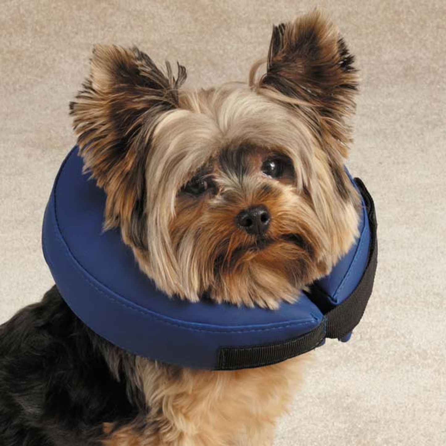 Total Pet Health Inflatable Recovery Collar