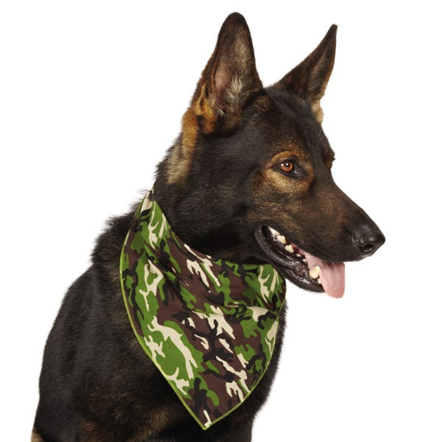 Aria Camo Bandana