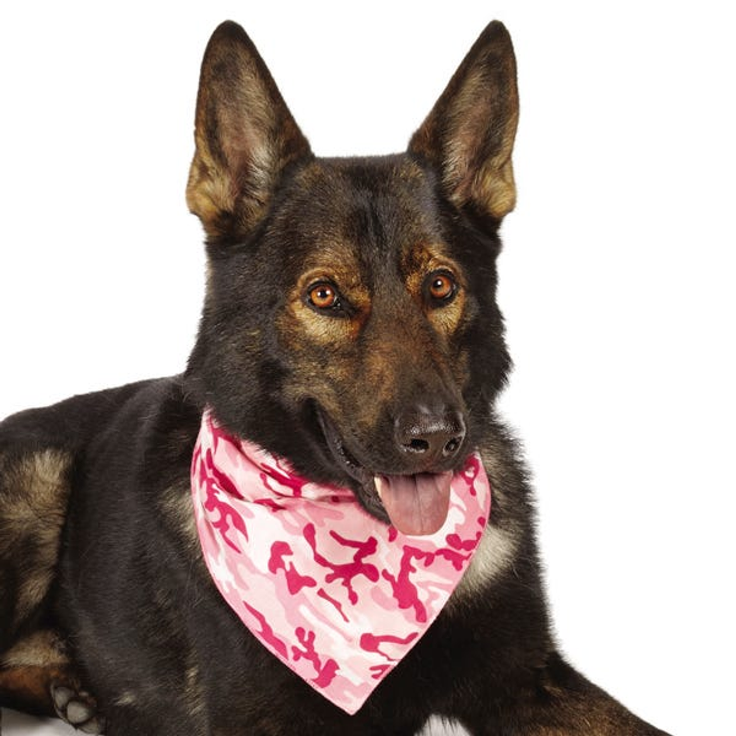 Aria Camo Bandana