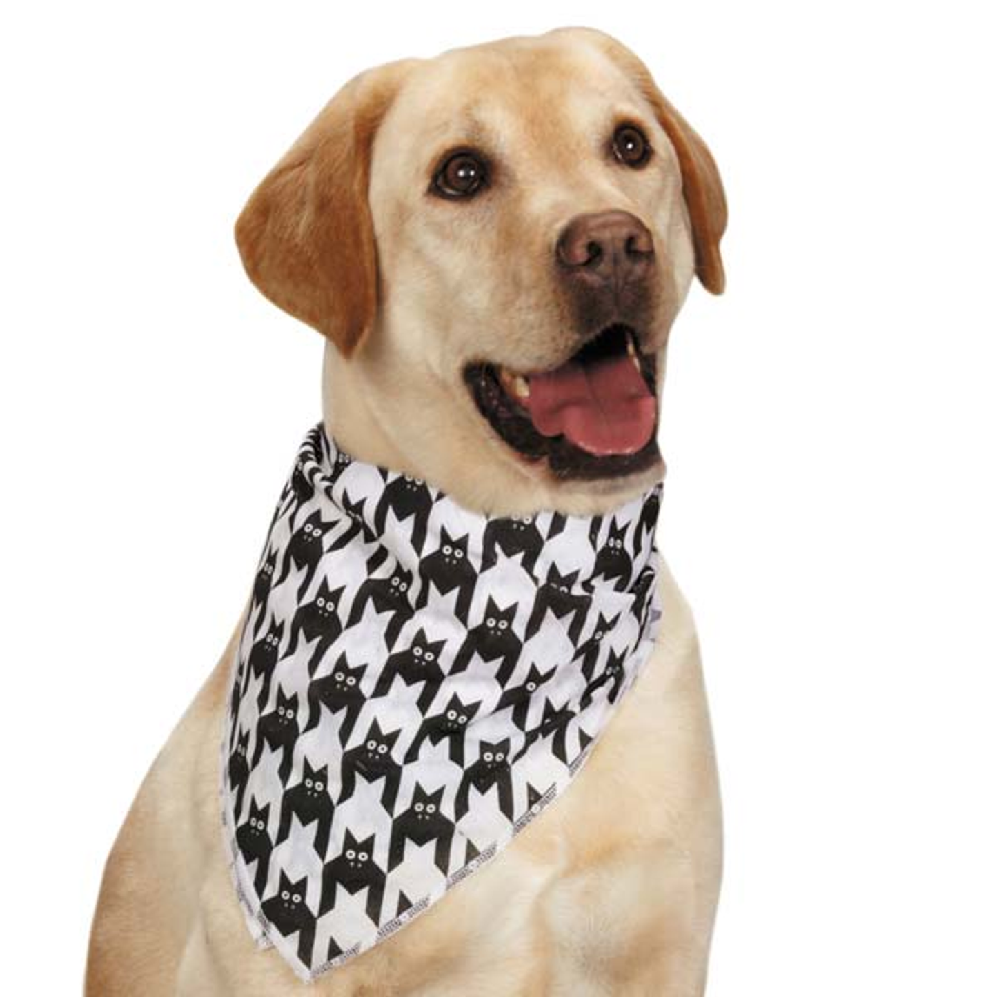Aria Houndstooth Bat Dog Bandana - White/Black