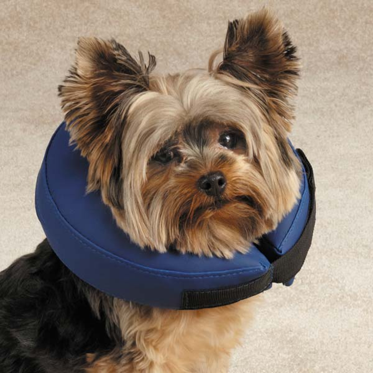 Total Pet Health Inflatable Recovery Collar